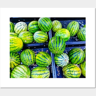 Ripe Green Watermelons Photo Posters and Art